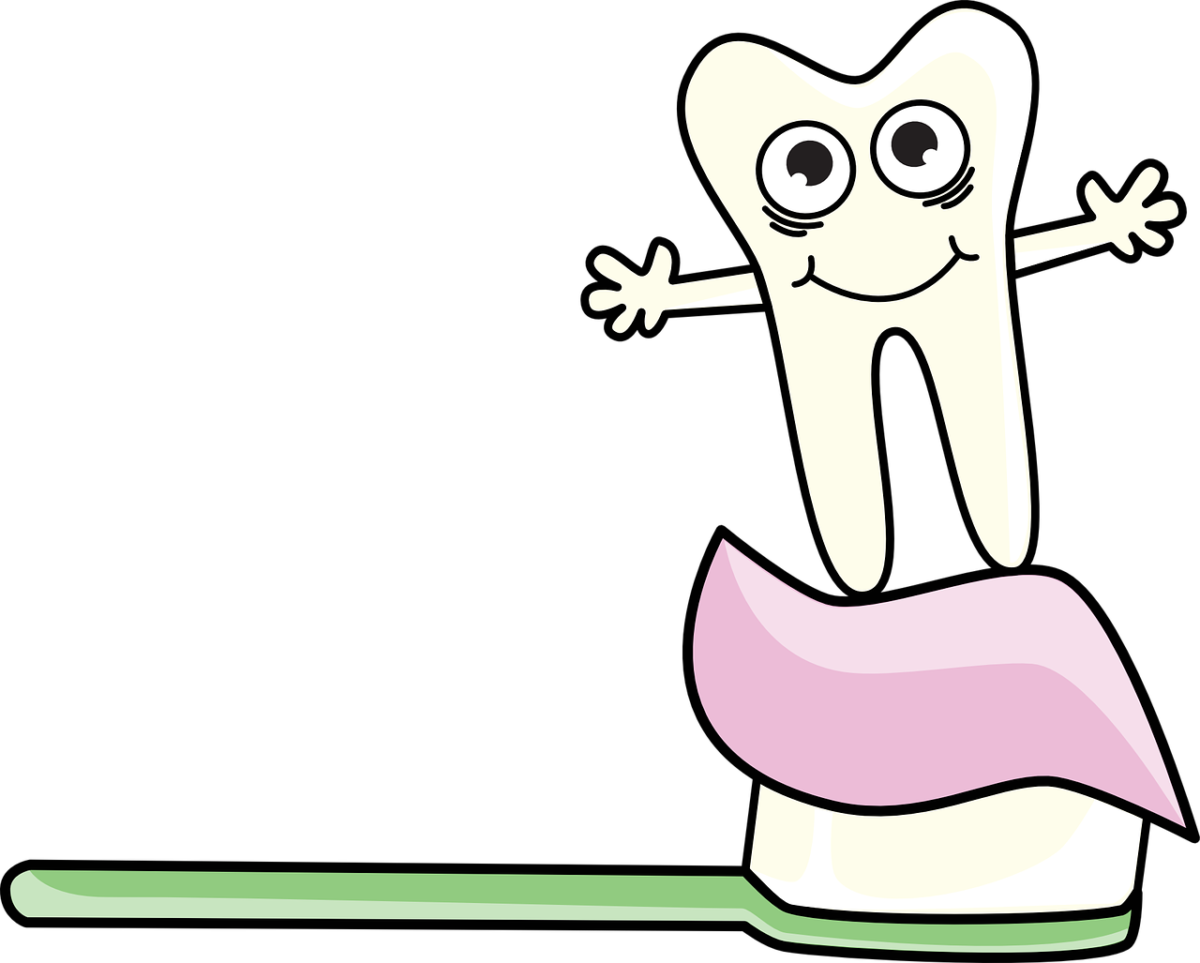 Zdrowe i mocne zęby bez próchnicy – zadbaj o nie już dziś. Próchnica i ból zębów – leczenie ,a także profilaktyka